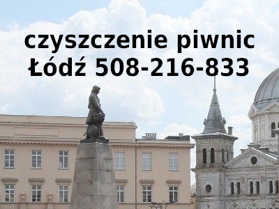 czyszczenie piwnic Łódź